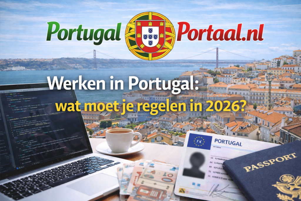 038e3439 2a3a 40b5 abbc 09a240f0fb84