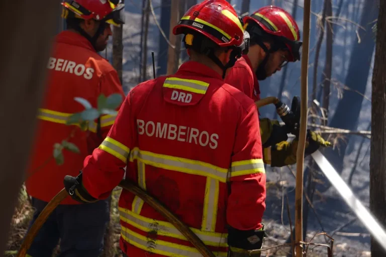 Img 932x621uu2023 07 11 21 42 33