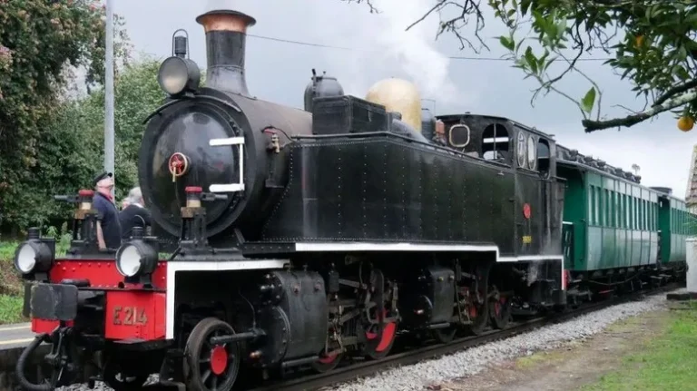 29 6