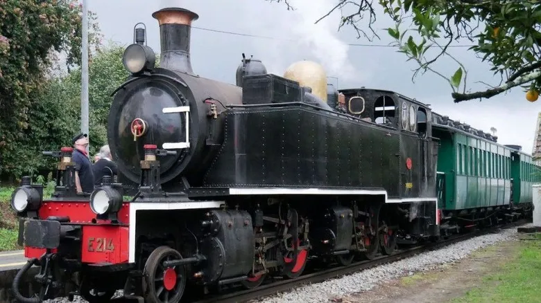 29 6
